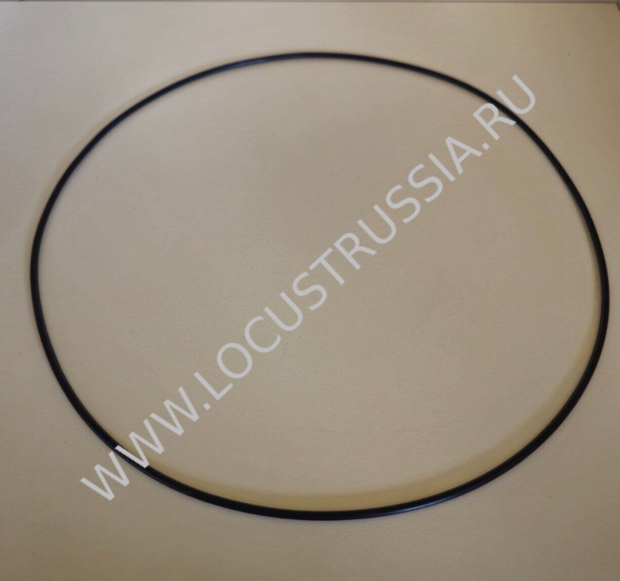 Уплотнение гидромотора Локуст, Locust 752 - 1203 ( Круглое сечение, 07061032, Stator seal ring )